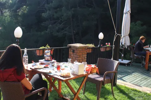 Bahçeden Erguvanlı Ev