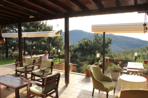 Çim teras