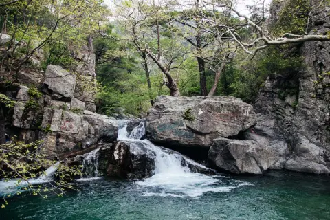 Kazdağları