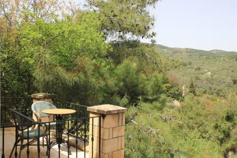 Magnolia room, view 8 — Erguvanlı Ev
