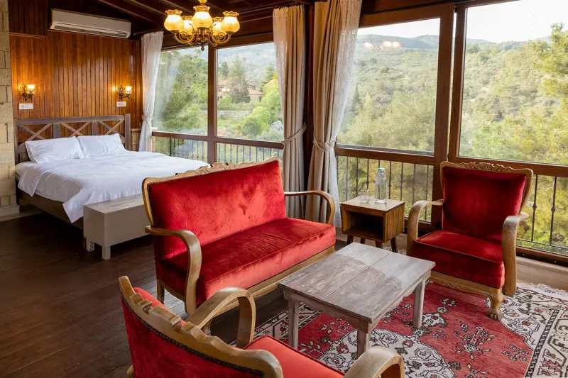 Terrace Room room — Erguvanlı Ev