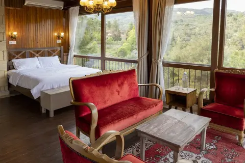 Terrace Room room, view 2 — Erguvanlı Ev