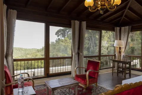 Terrace Room room, view 5 — Erguvanlı Ev