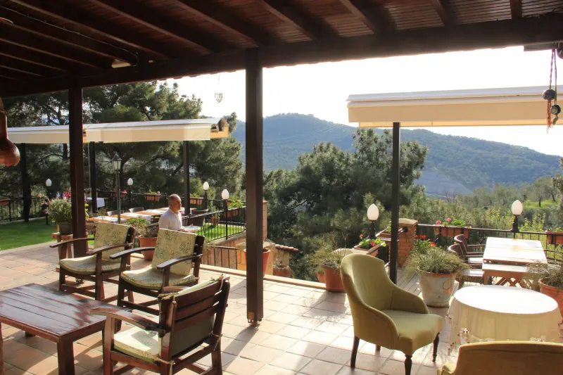 Outdoor dining area
